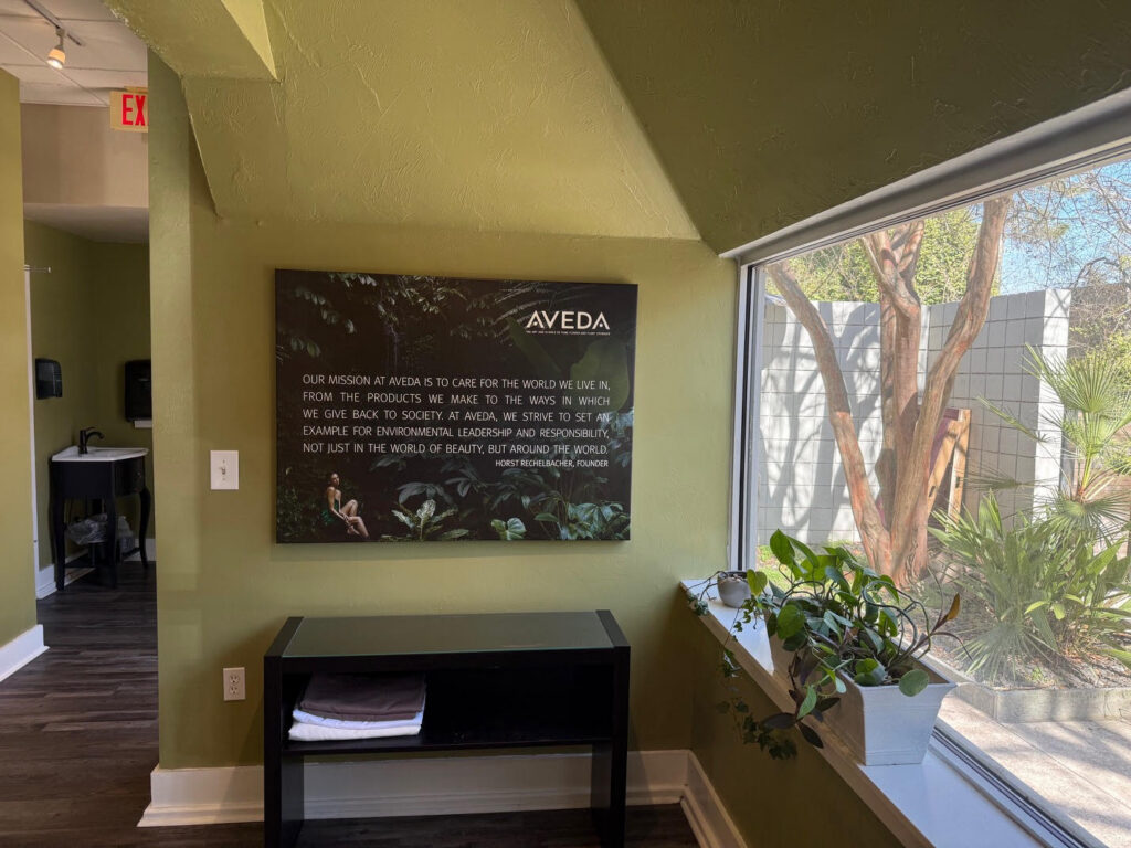 Wall-mounted AVEDA mission statement plaque next to a window with potted plants; sunlight streams in onto green walls and dark wood flooring. - Soleil 7 Hair Salon in Tallahassee, FL